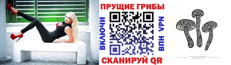наркошоп  Верхняя Тура  Галлюциногенные грибы мицелий 